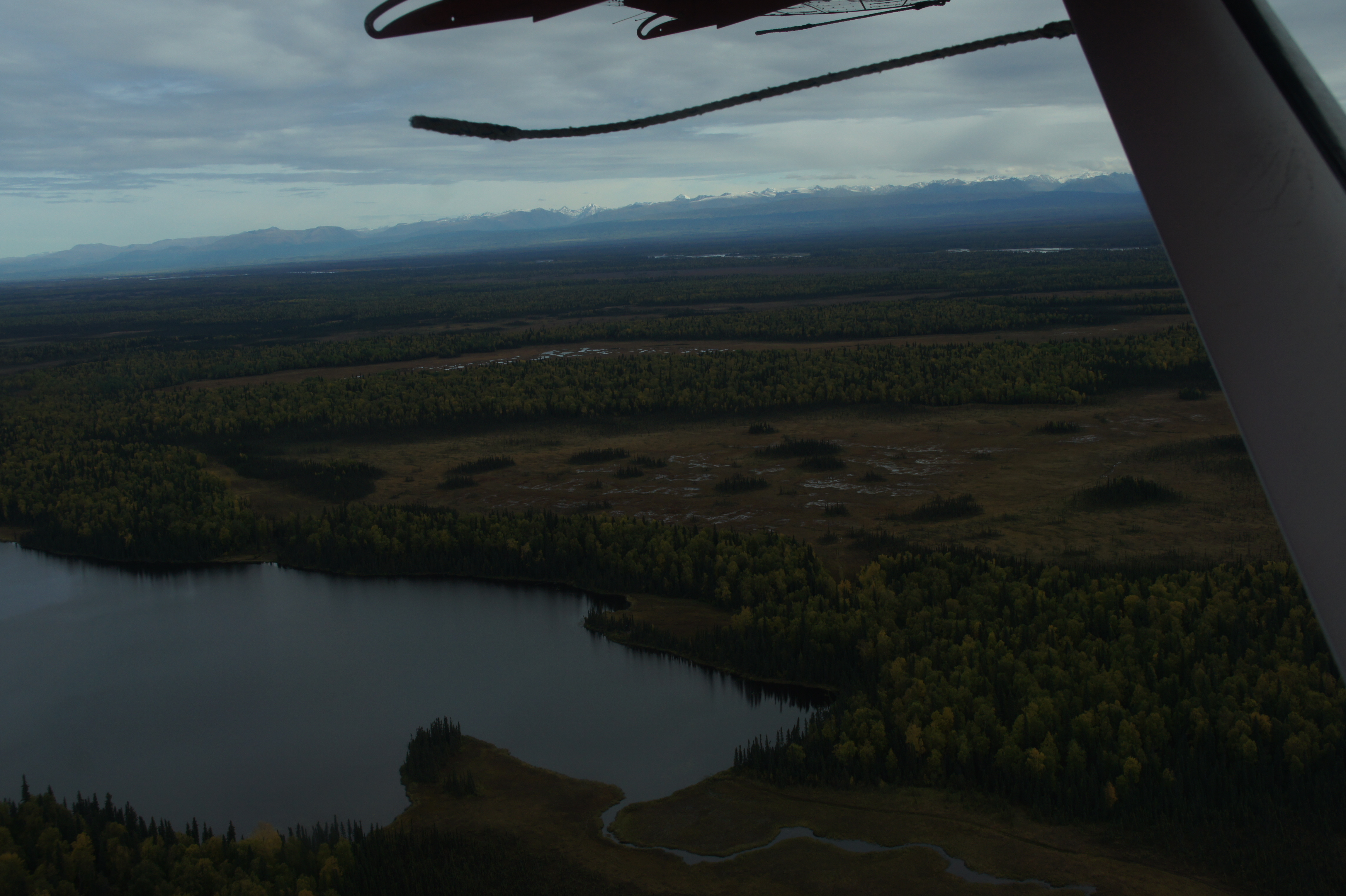 Click to return to the thumbnail index